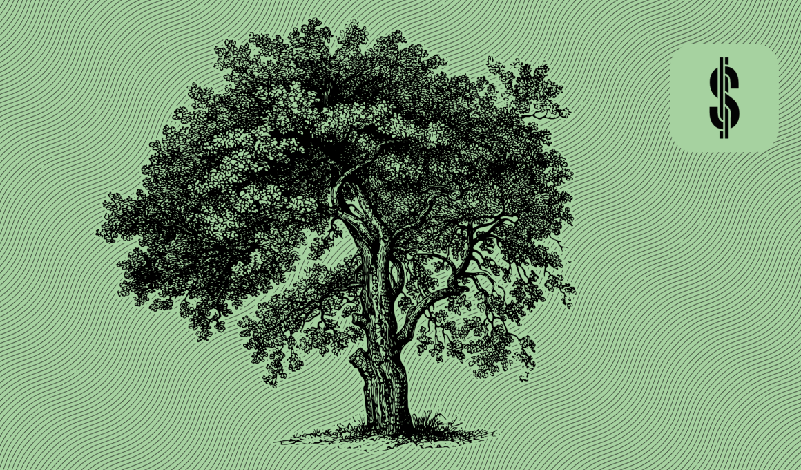 S4F Emergency Fund @ Savings4Freedom