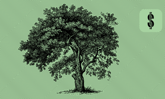 S4F Emergency Fund @ Savings4Freedom