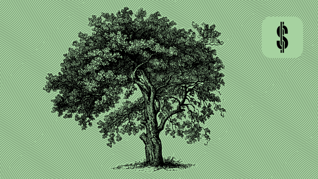 What is Financial Independence?