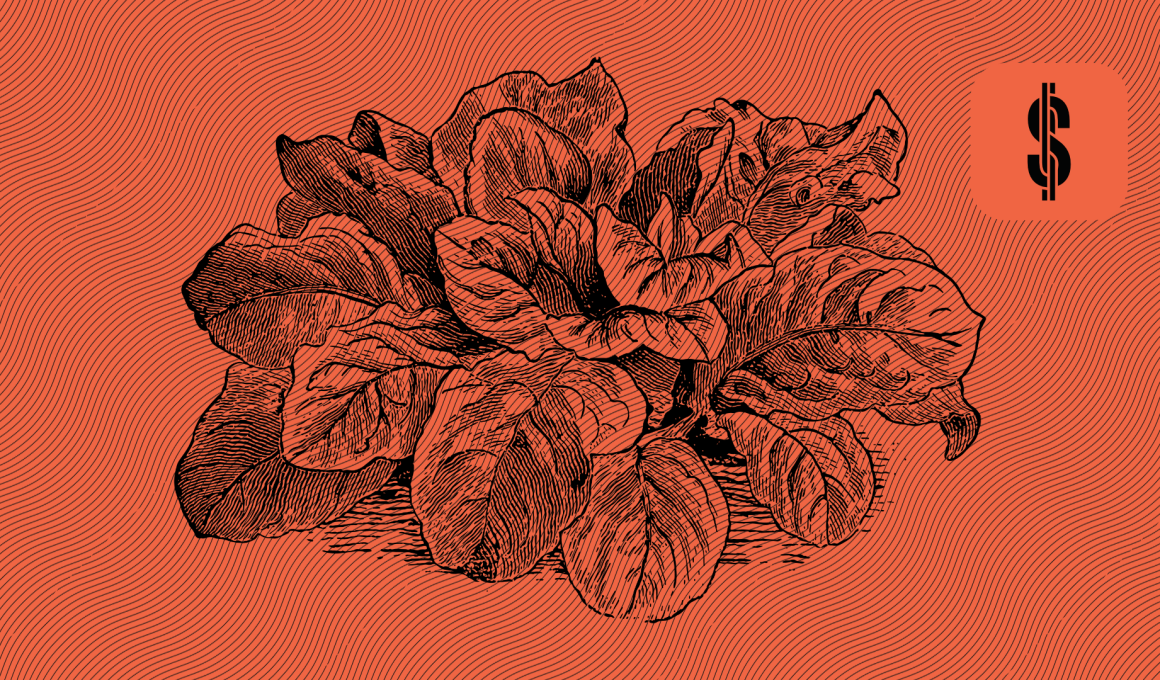 S4F Financial Status IUVO Group @ Savings4Freedom