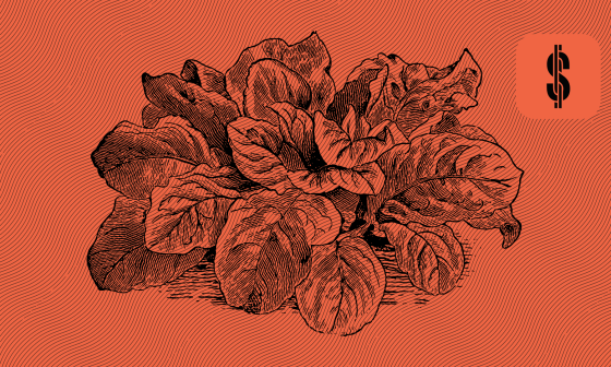 S4F Financial Status IUVO Group @ Savings4Freedom