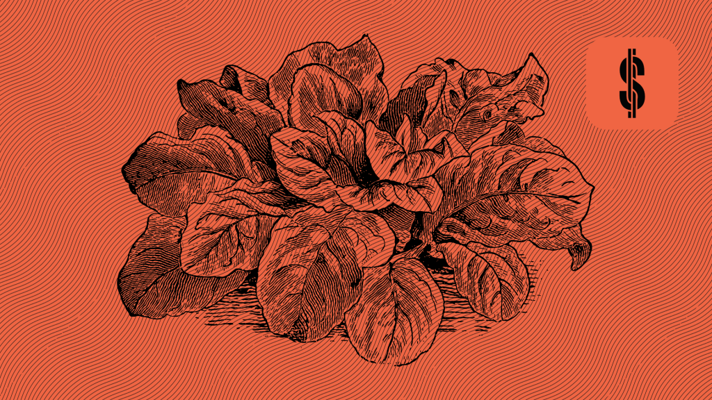 Does IUVO GOLD Club jeopardizes small investors returns?