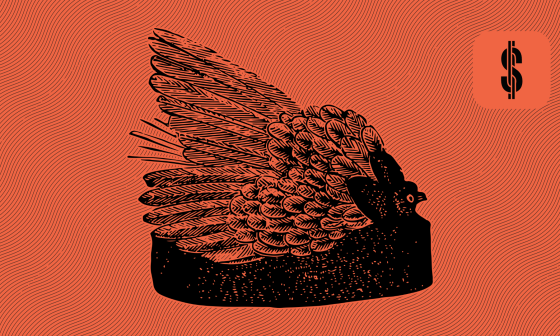 S4F Financial Status Mintos LOs @ SavingsForFreedom