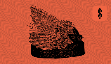 S4F Financial Status Mintos LOs @ SavingsForFreedom