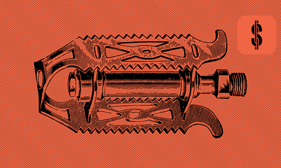 S4F Financial Status Robo.cash @ Savings4Freedom