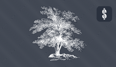 S4F Help New Investors Buyback Guarantee @ SavingsForFreedom