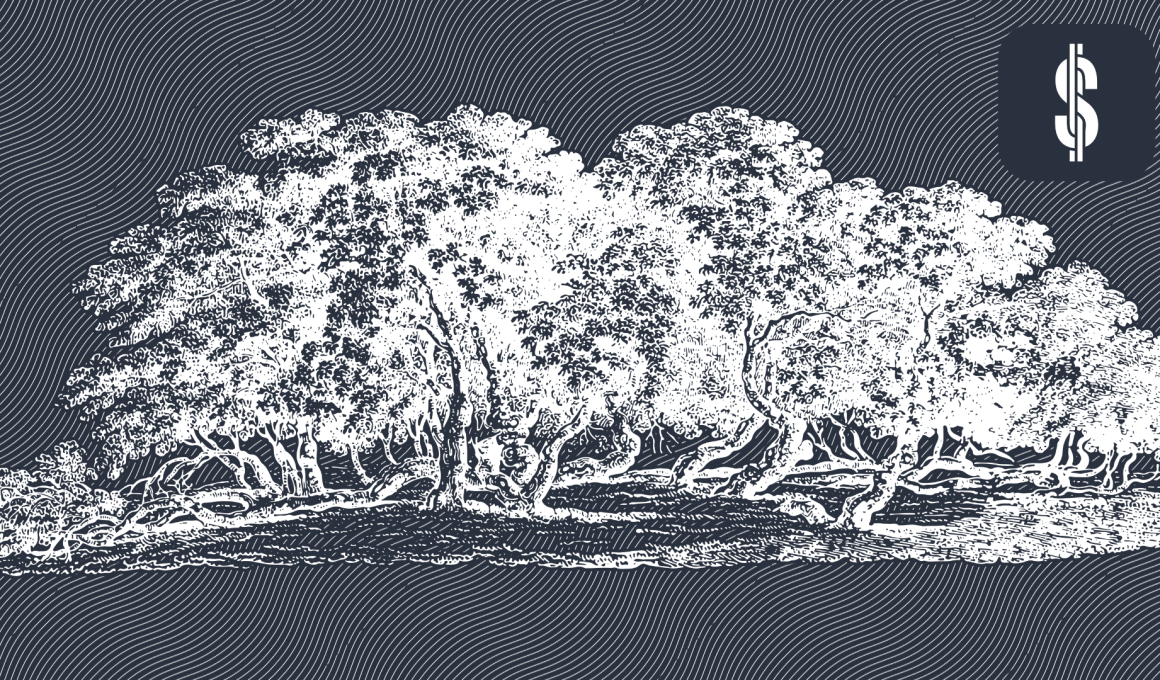 Exploring the P2P Lending Market