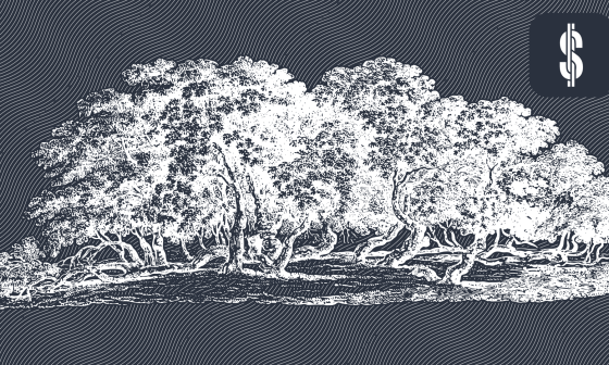 Exploring the P2P Lending Market