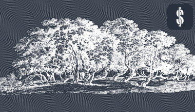 Exploring the P2P Lending Market