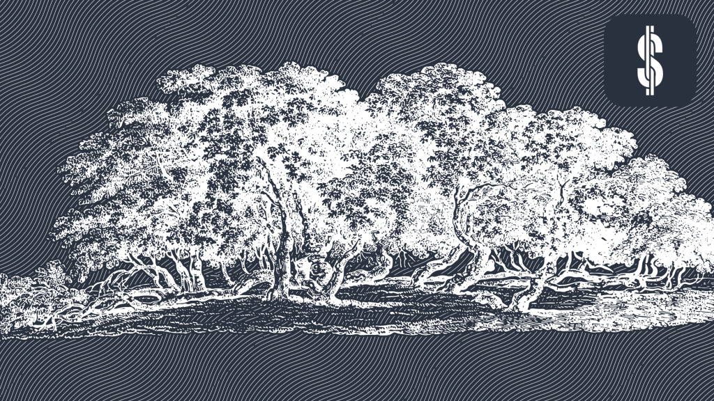 Exploring the P2P Lending Market