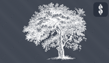 P2P Lending Regulatory Reality