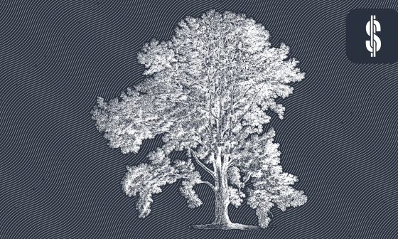 How to Research a P2P Platform?