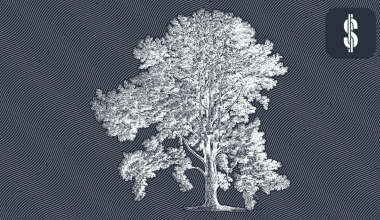 How to Research a P2P Platform?