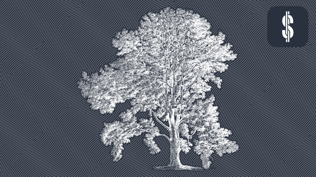 How to Research a P2P Platform?