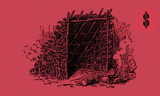 S4F Risk Management Dena Invest @ SavingsForFreedom