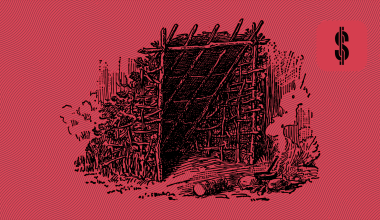 S4F Risk Management Dena Invest @ SavingsForFreedom