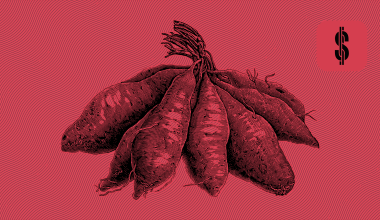 S4F Review and Analysis Moncera @ SavingsForFreedom