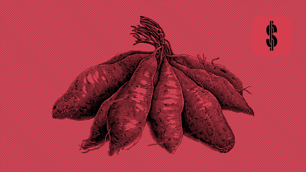 Moncera: Quick Overview