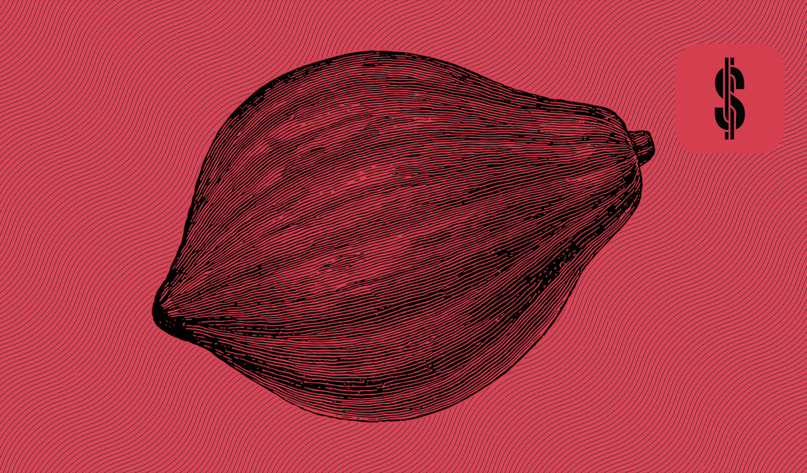 S4F Nibble Review and Analysis @ SavingsForFreedom