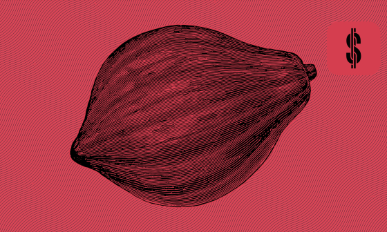 S4F Nibble Review and Analysis @ SavingsForFreedom