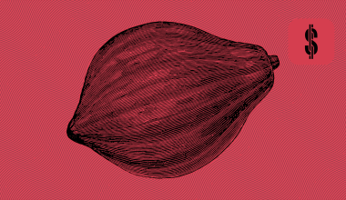 S4F Nibble Review and Analysis @ SavingsForFreedom